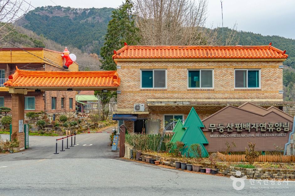 무등산편백자연휴양림