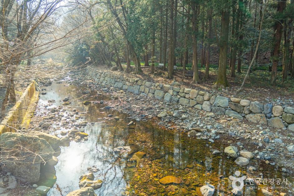 해남_대흥사계곡 (2)