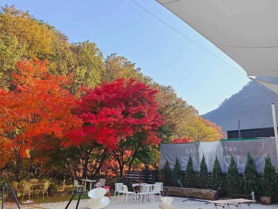 thumbnail-산솔-4
