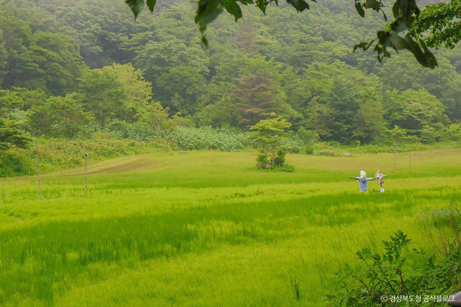 thumbnail-나리분지-6