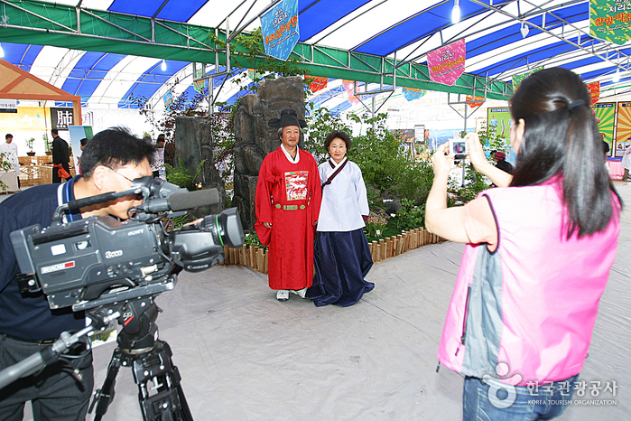 Sancheong Medicinal Herb Festival (산청 한방약초축제)
