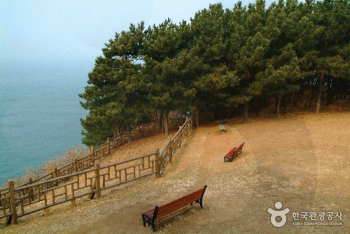 Aldea de Ramio Dalgogae de Seocheon (서천 달고개모시마을)