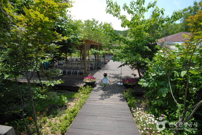 Ботанический сад Пхёнган (평강식물원)