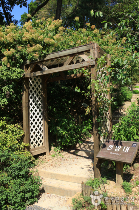 Hantaek Botanical Garden (한택식물원)