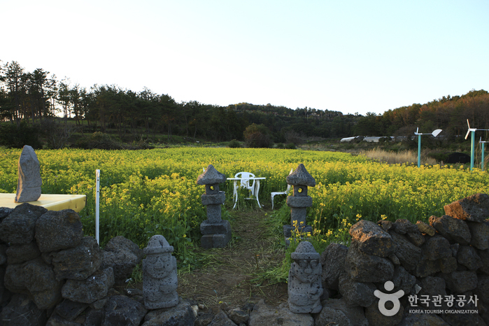 [제주올레 7코스] 서귀포-월평 올레3