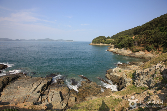 바람의 언덕 사진12