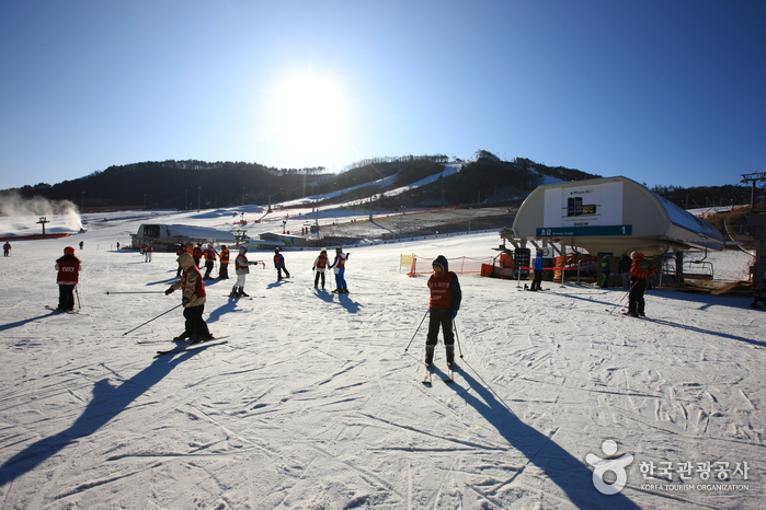Alpensia Ski Resort (알펜시아리조트 스키장)