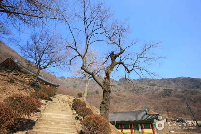 Surisa Temple - Gyeonggi (수리사 - 경기)