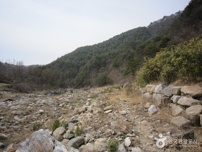왕피천생태탐방로 사진14
