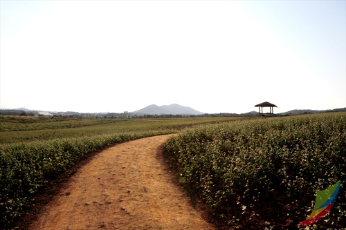 Borinara Hagwon Farm (보리나라 학원농장)