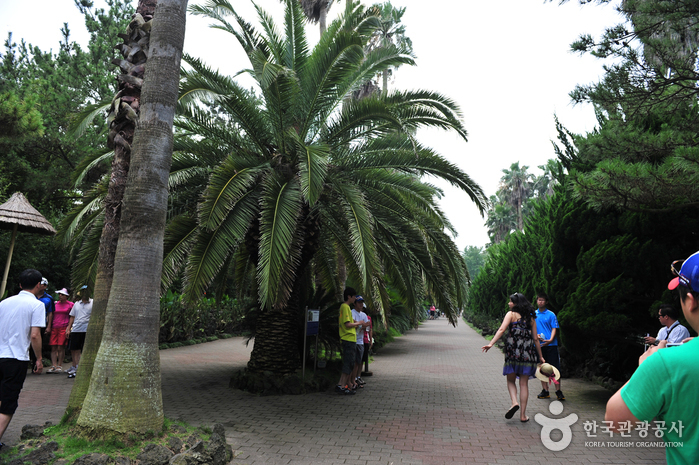 Hallim Park (한림공원)