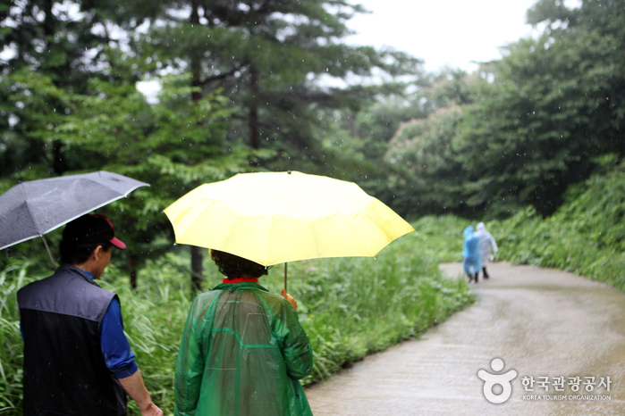 마실가는 듯 축령산으로 이어지는 길