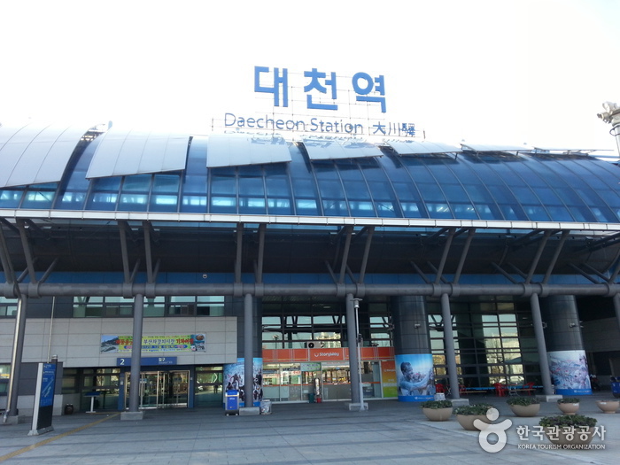 Daecheon Station (대천역)