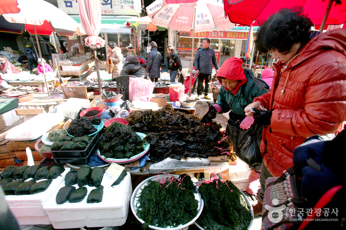 Marché de Gijang sijang (부산 기장시장)