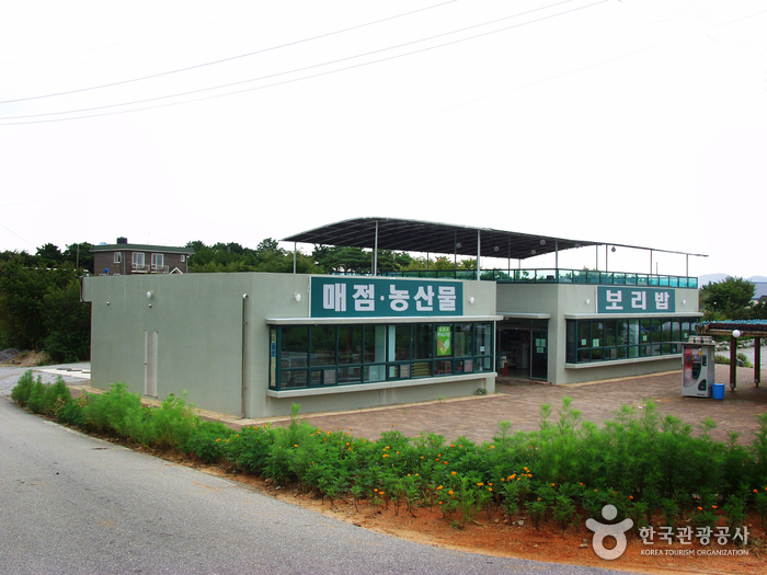 Borinara Hagwon Farm (보리나라 학원농장)