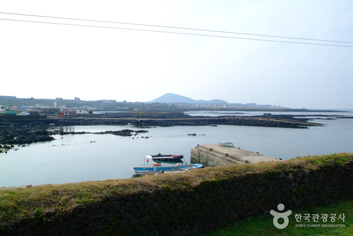 [제주올레 18코스] 제주원도심-조천 올레2