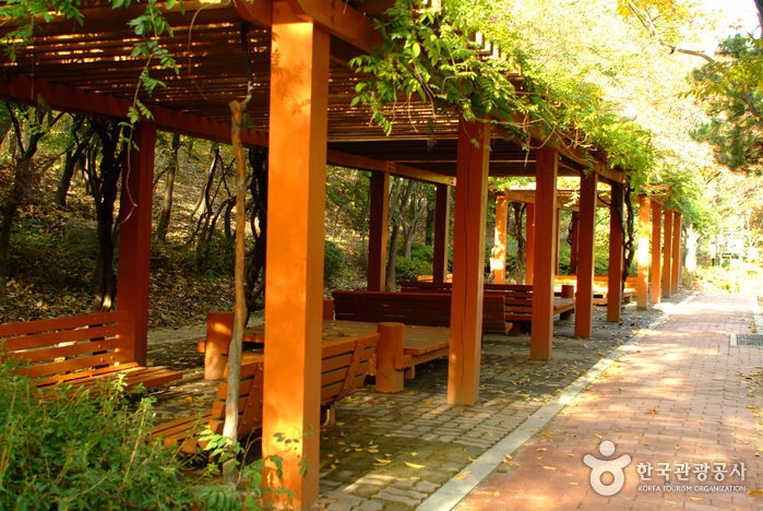 Cheongdam-Park (청담공원)