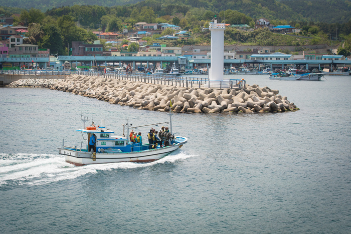 동해안 최북단 저도어장 대문어축제 20191