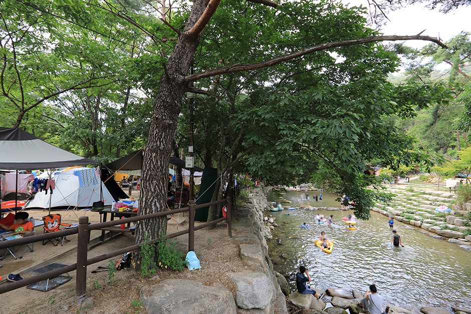 월악산국립공원 닷돈재 자동차야영장2