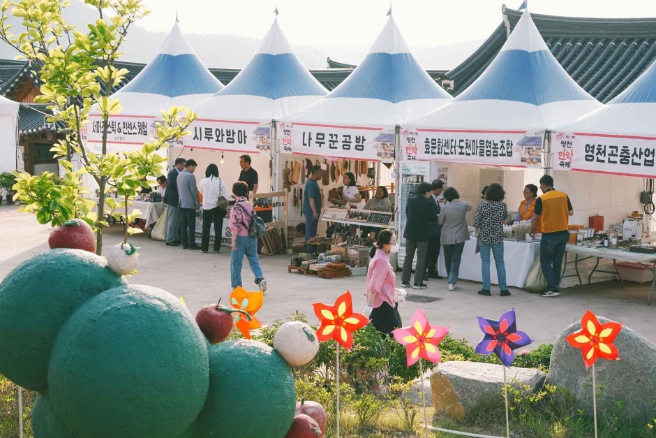Festival de la médecine traditionnelle à Yeongcheon (영천한약축제)