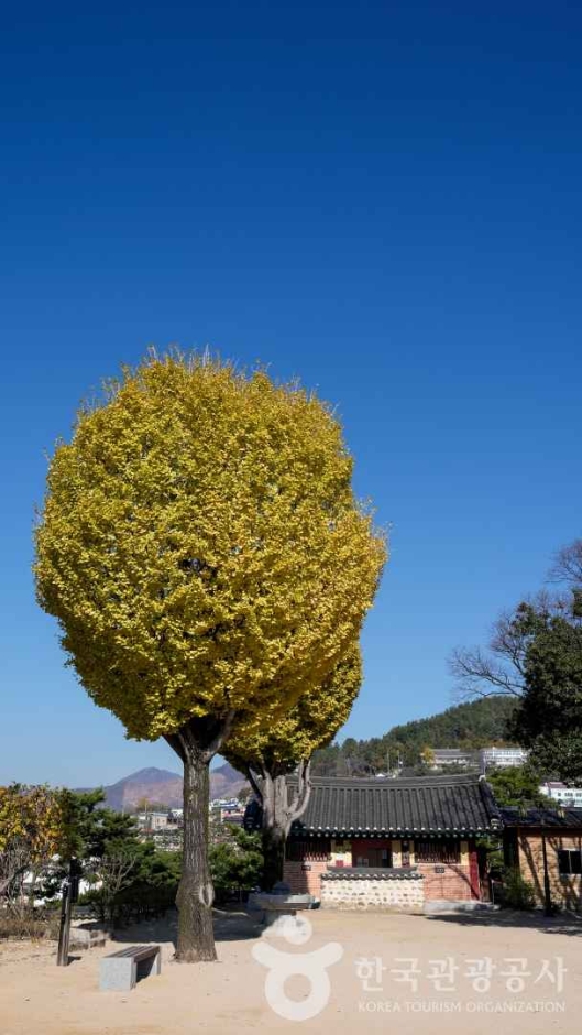 thumbnail-밀양 영남루-4