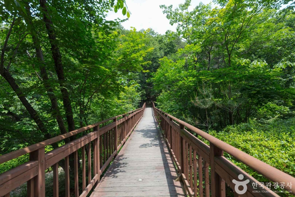 국립 용화산자연휴양림