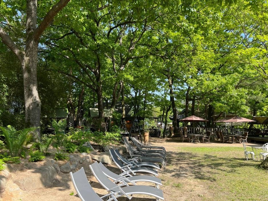 민들레울