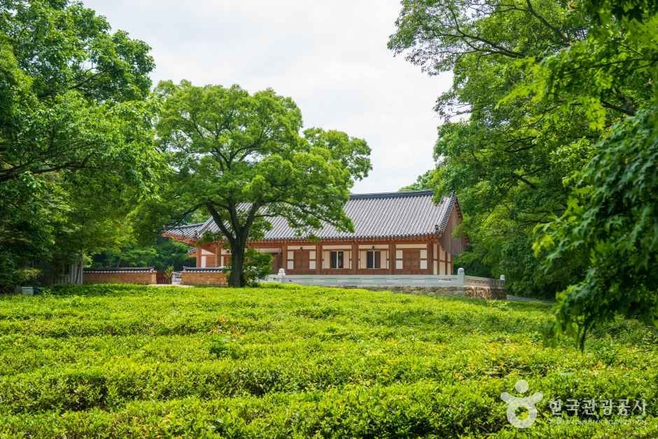 선운사(고창)