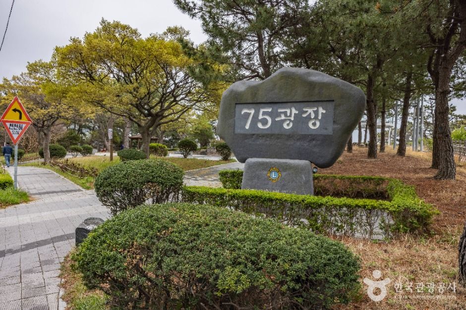 75광장