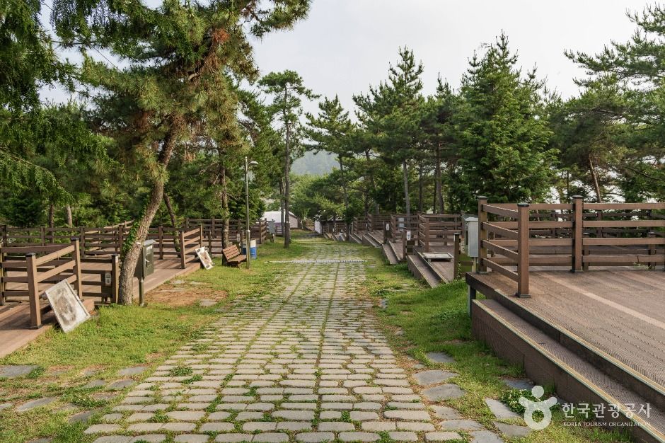비토국민여가캠핑장