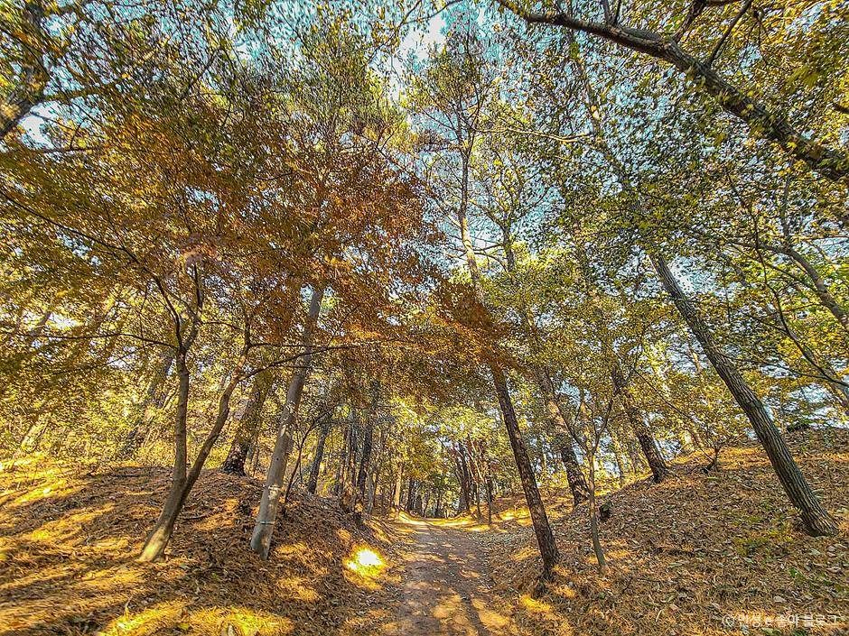 비봉산(안성)