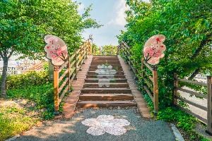대구_꽃보라동산 (5)