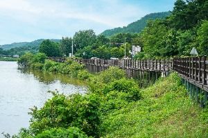 대구_창평지 친환경 생태공원 (5)