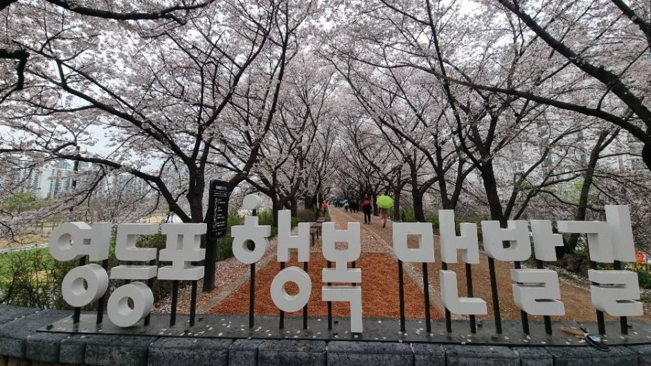 [서울둘레길 14코스] 안양천 하류코스