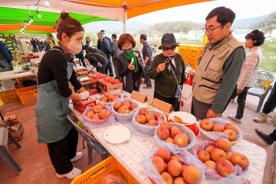 2025 청춘양구 펀치볼 시래기사과축제 2