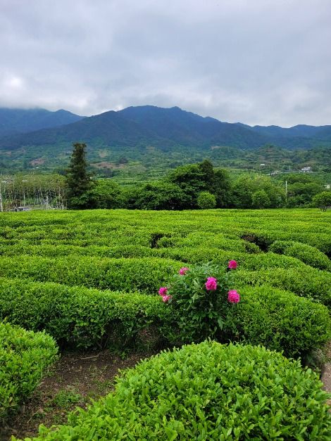 thumbnail-매암차박물관-6