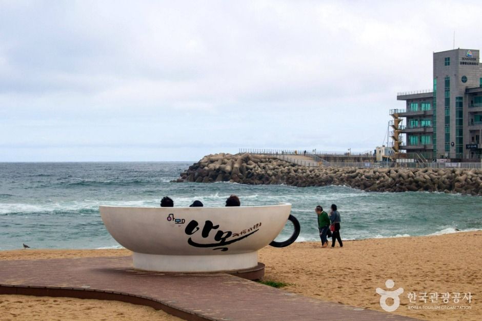 thumbnail-강릉커피거리-26