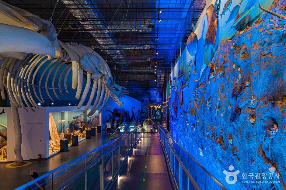 땅끝해양자연사박물관