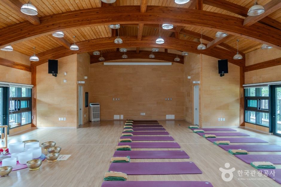 서천 치유의 숲