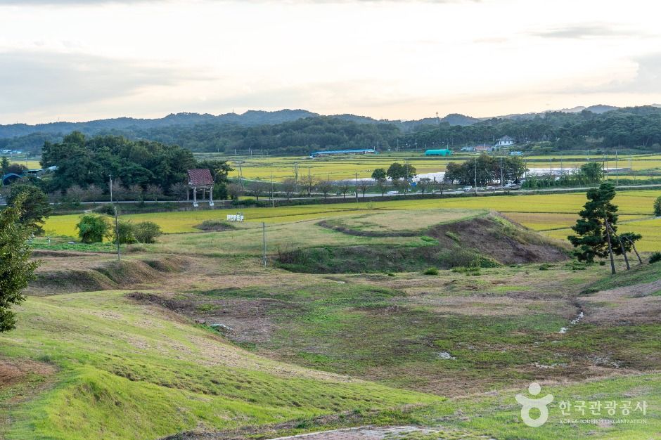 부여 송국리 유적