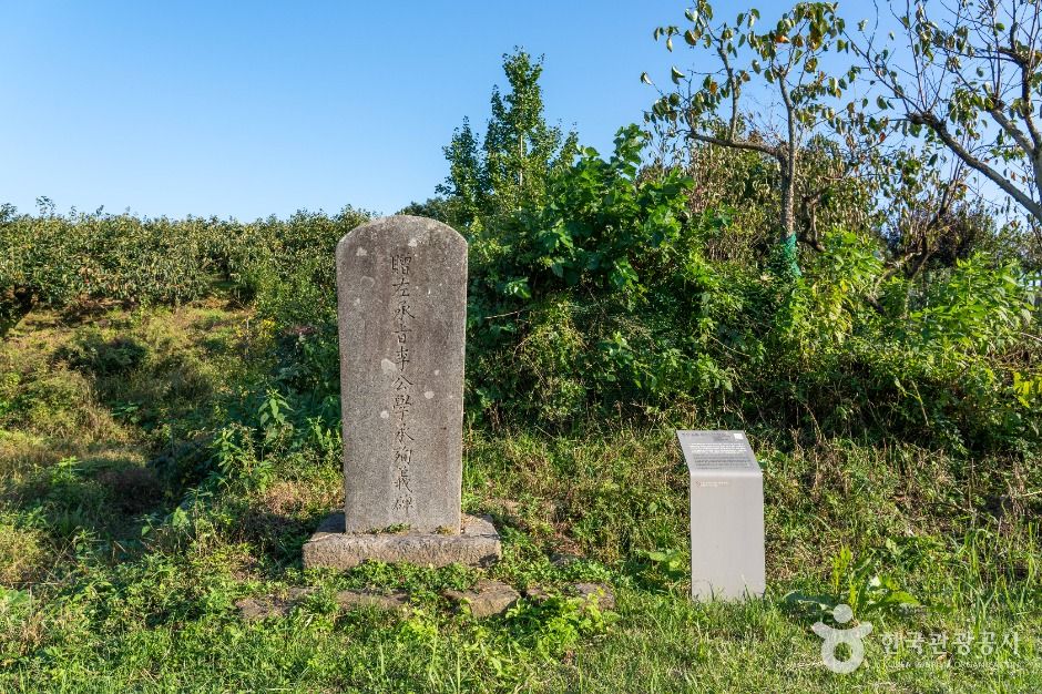 장성 황룡 전적