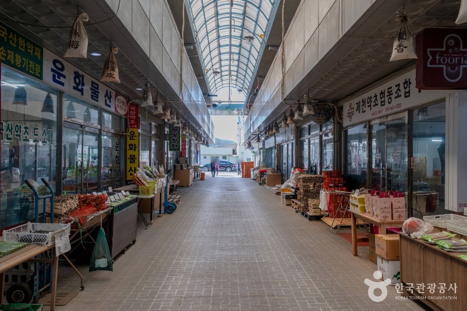 제천_제천 약초시장 (6)