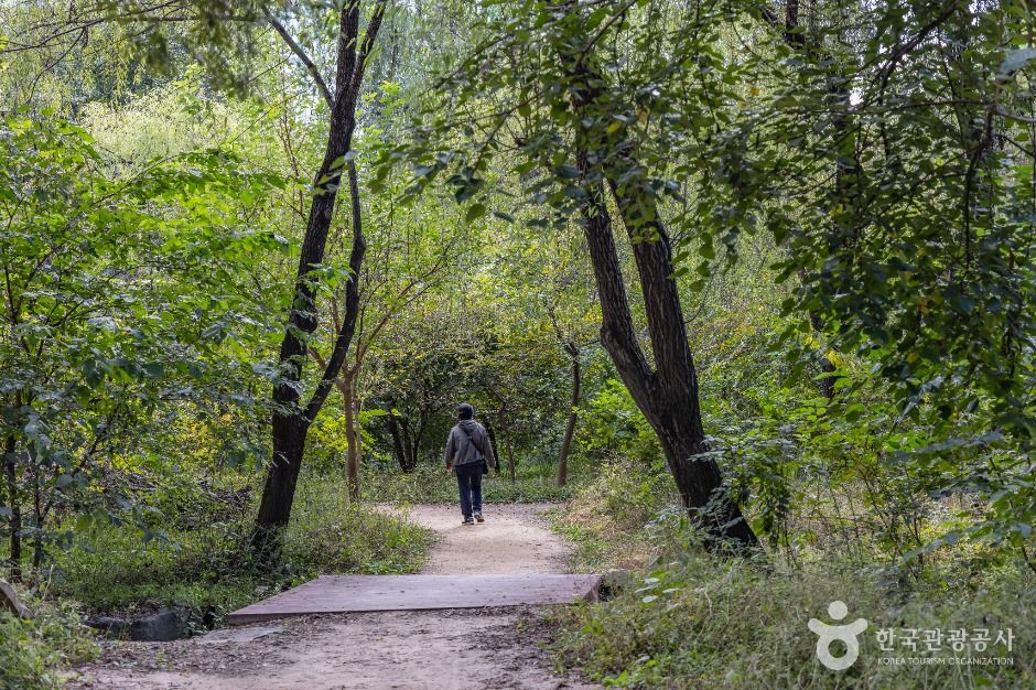 thumbnail-여의도샛강생태공원-9