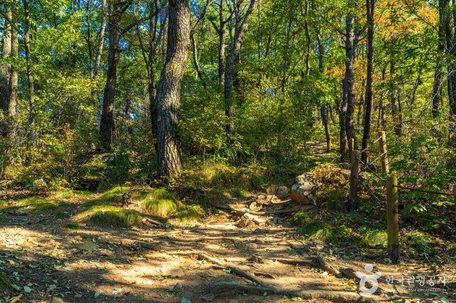 thumbnail-오산(구례)-5