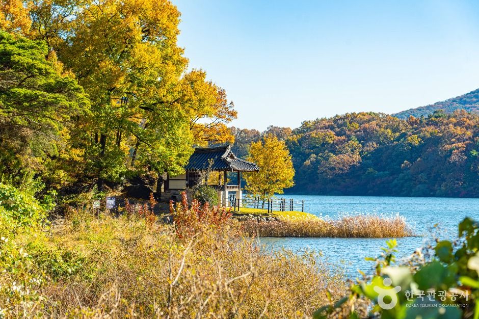 옥천군_청풍정 (6)