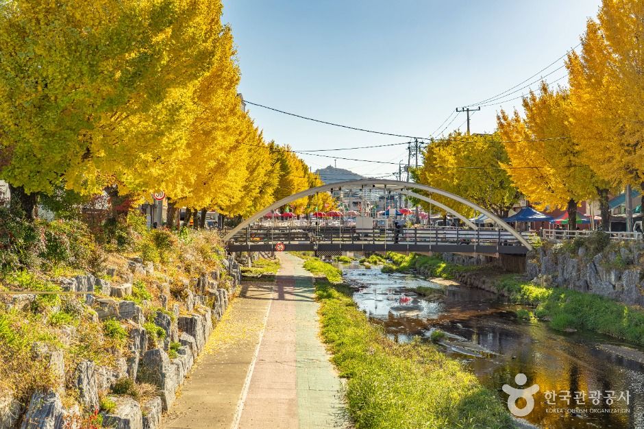 옥천_옥천장 (5, 10일) (9)