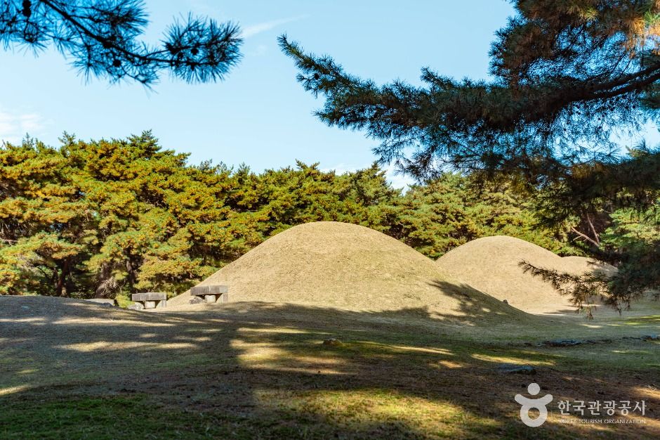 경주 배동 삼릉