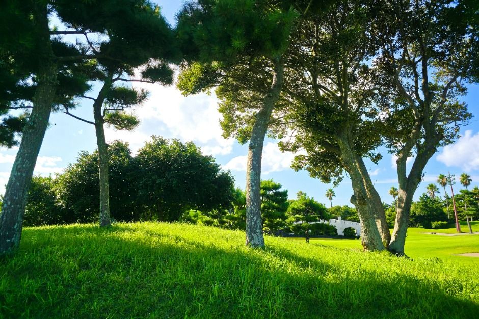 제주_크라운컨트리클럽 (5)