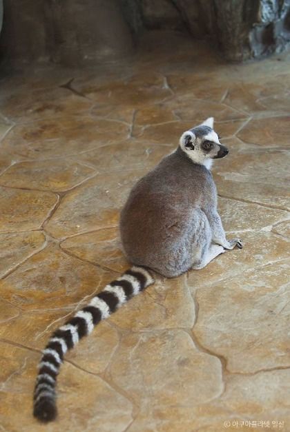 아쿠아플라넷 일산