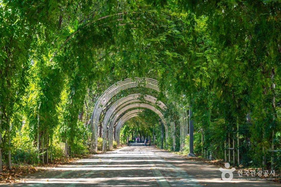 옹기종기행복마을